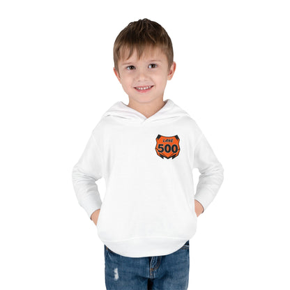 Toddler Custom Number Plate Hoodie *You pick the back saying*