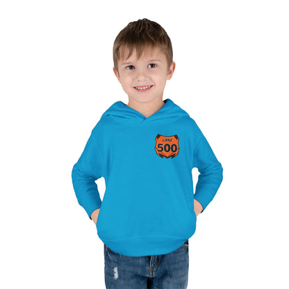 Toddler Custom Number Plate Hoodie *You pick the back saying*