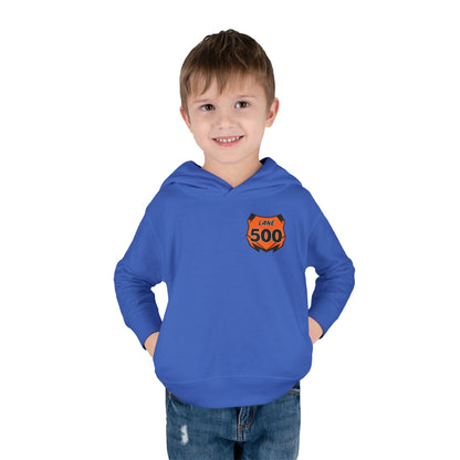 Toddler Custom Number Plate Hoodie *You pick the back saying*
