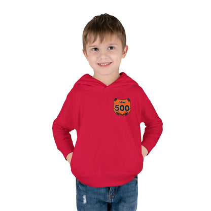 Toddler Custom Number Plate Hoodie *You pick the back saying*