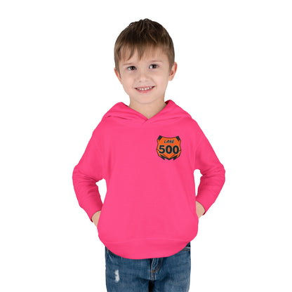 Toddler Custom Number Plate Hoodie *You pick the back saying*