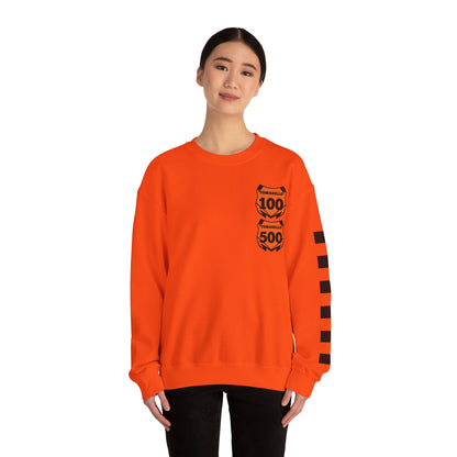 Custom Unisex Number Plate Sweatshirt *You pick back saying*