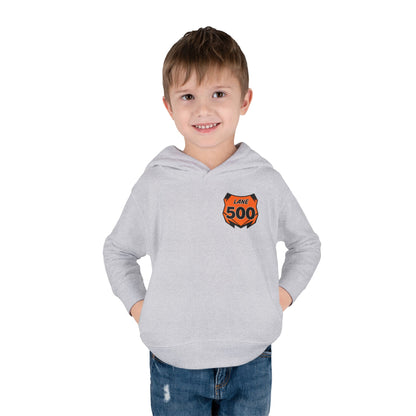 Toddler Custom Number Plate Hoodie *You pick the back saying*