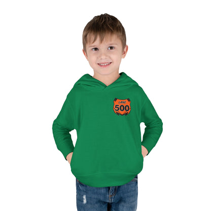 Toddler Custom Number Plate Hoodie *You pick the back saying*
