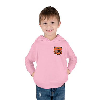 Toddler Custom Number Plate Hoodie *You pick the back saying*